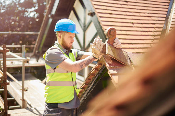 Roof Gutter Cleaning in Clarksville, TN